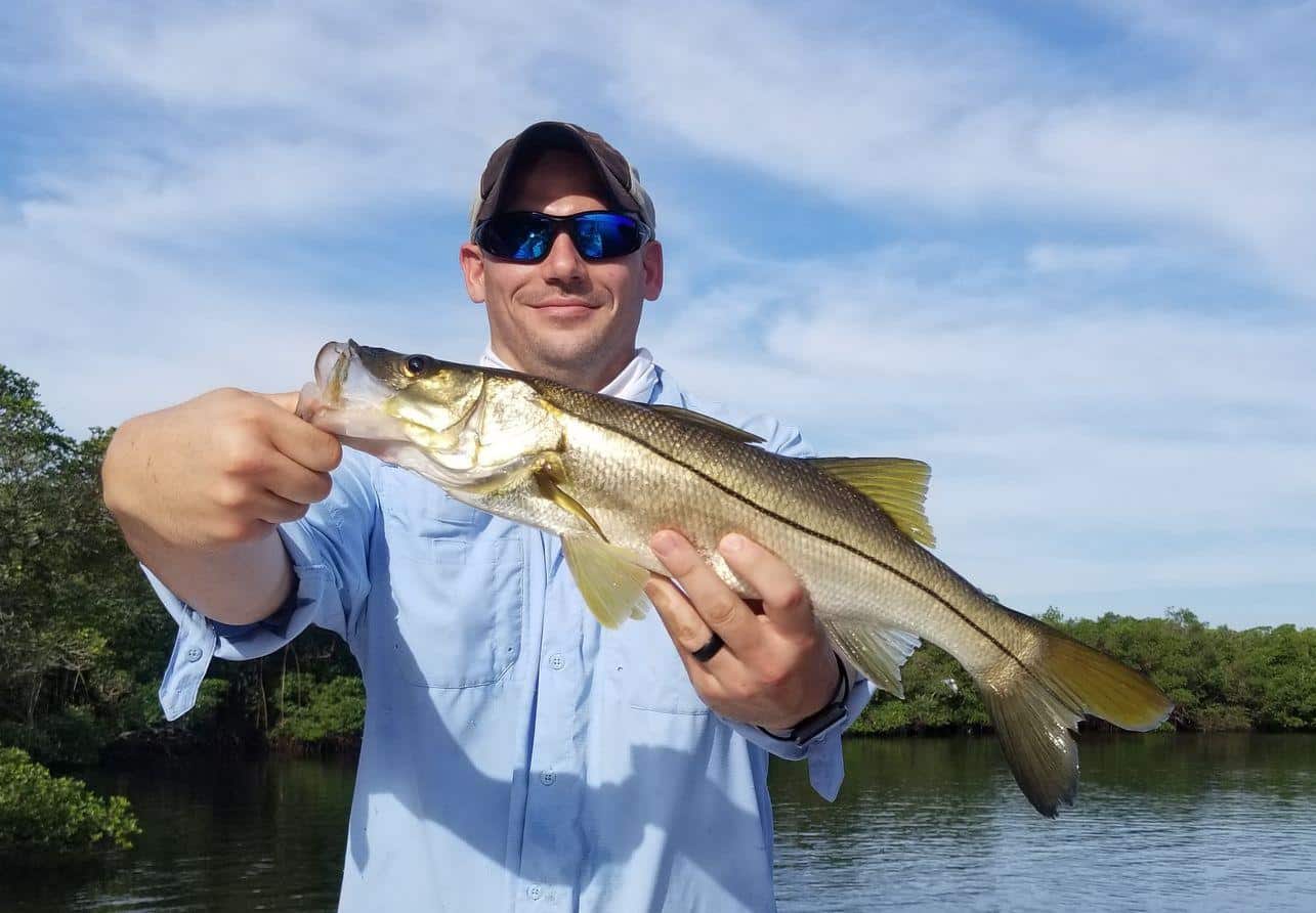 Apollo Beach Fishing Report January 2018 Fish This Charters