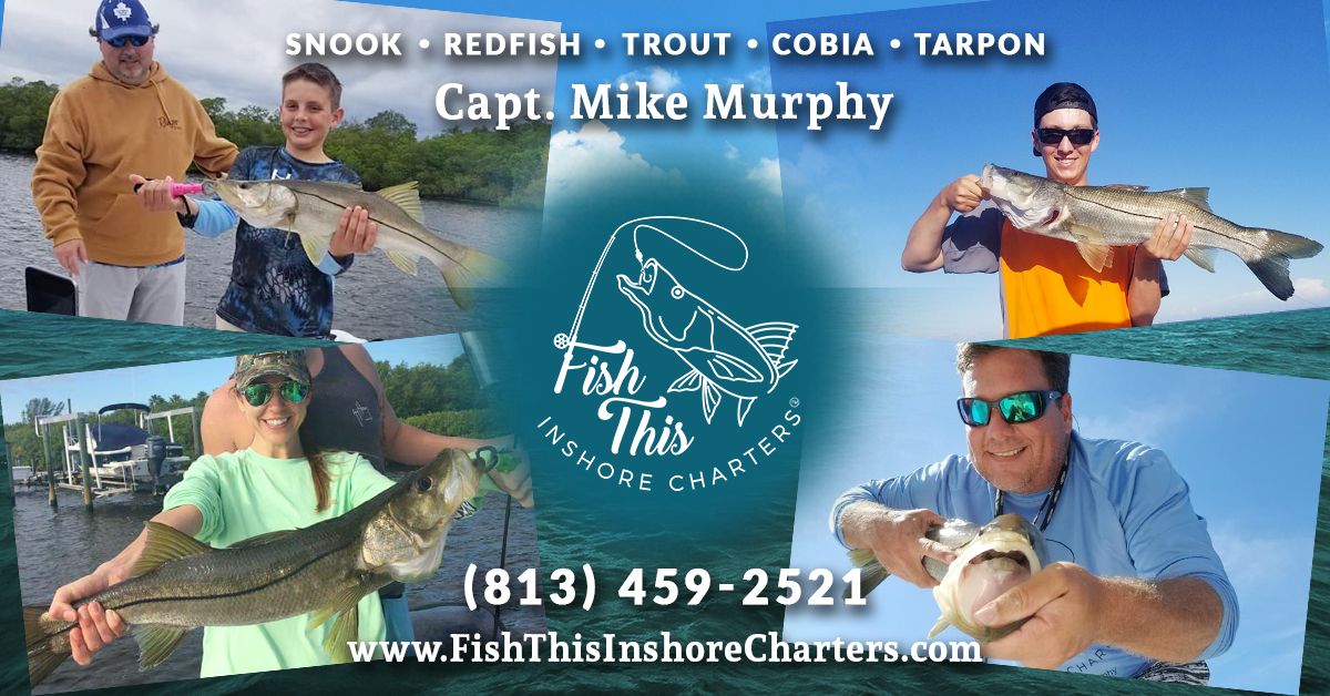 Capt Mike Murphy Releases August 2018 Tampa Bay Fishing