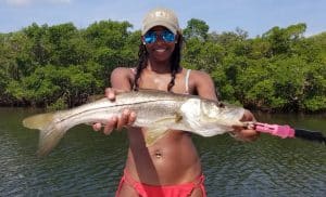 Tampa Bay Fishing Charters