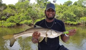 Tampa Snook Fishing