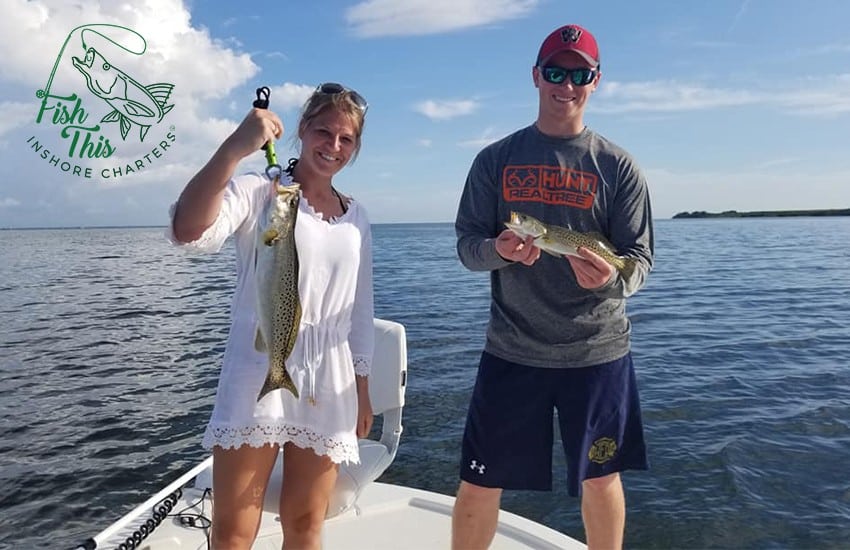 Tampa Bay Fishing Charters Report for December 2018 by Capt Mike Murphy